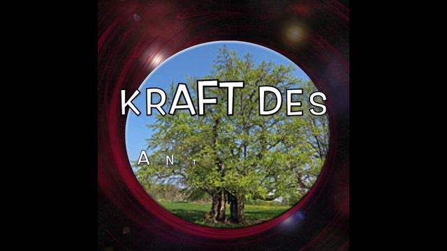 Komm mit zum Waldbaden (Stressabbau) смотреть онлайн