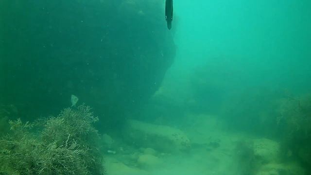 sjcam c100+ тест под водой смотреть онлайн