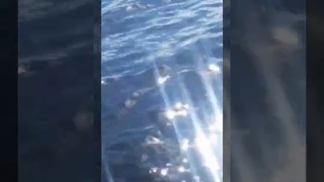 оз. Селява без эффекта фотошопа смотреть онлайн