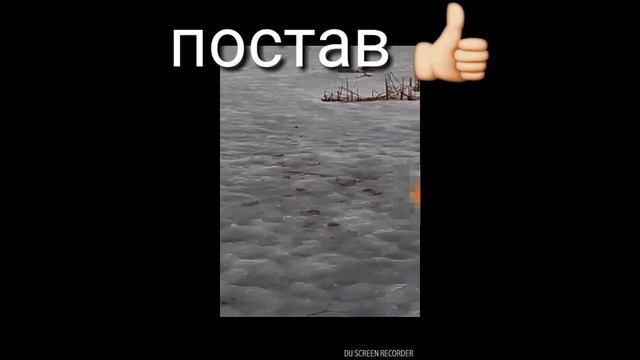 Взриваем петарду (громовиця)