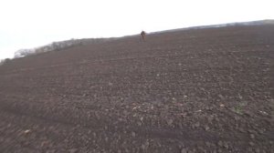 Коп по скифам с деус лайт.2