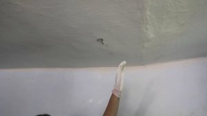 Первый блин комом, Побелка потолка, Ремонт в частном доме