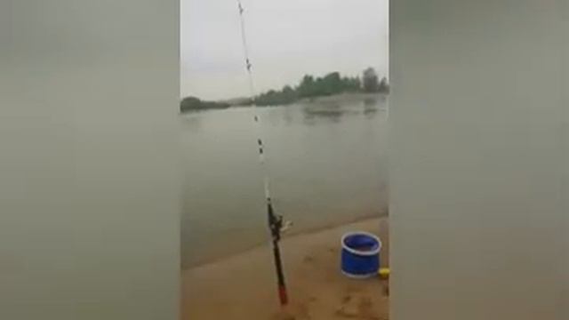 Рыбалка на Оби.Бугринский пляж. смотреть онлайн