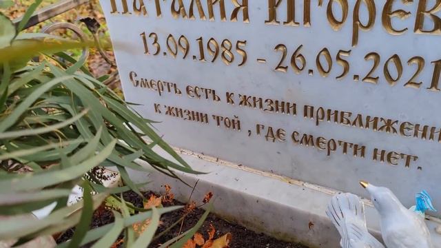 МОГИЛКА НАТАШИ ! ПОМОЩНИЦА СТАРЦА ИЛИОДОРА смотреть онлайн