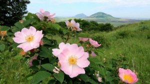 "Как прекрасен этот мир" ВИА Самоцветы