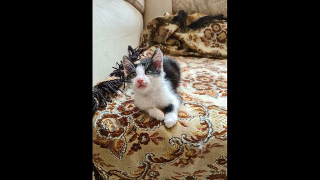 Ищу дом смотреть онлайн