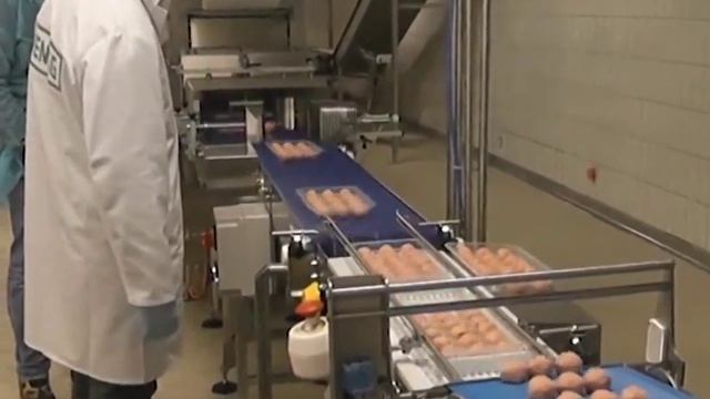 Производство фрикаделек AML 273