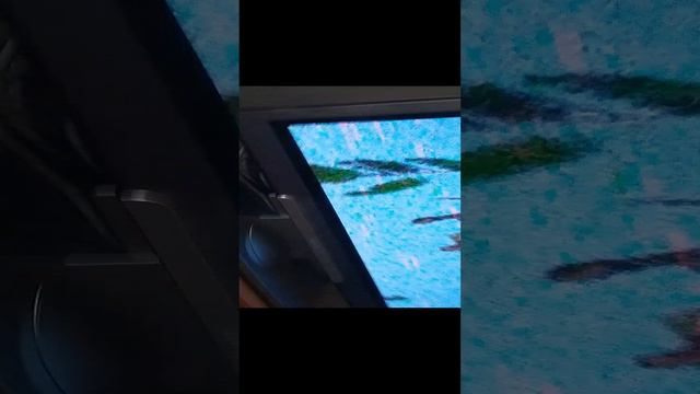 1000004737.mp4 смотреть онлайн