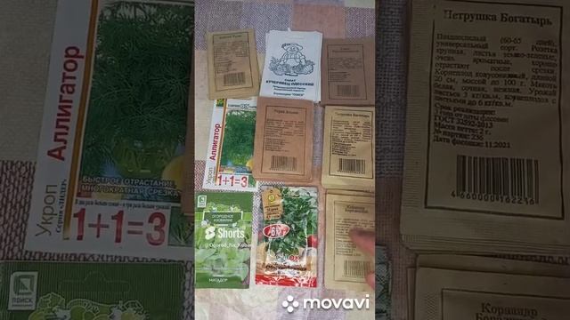 ОБЗОР ЗЕЛЕНИ ДЛЯ НОВОГО СЕЗОНА 2023Г. ОГОРОД НА КУБАНИ. shorts# смотреть онлайн