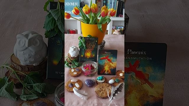 Aquarius ♒ The Sacred Forest Oracle: Phoenix. It's about Transmutation. смотреть онлайн