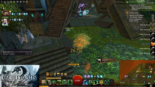 Guild Wars 2 : Home Instance Basics смотреть онлайн