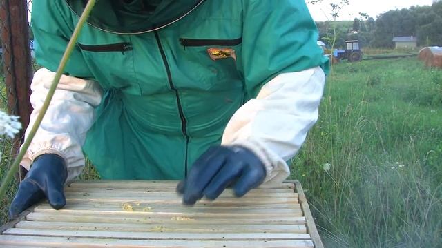 пчеловодство с нуля ) смотреть онлайн