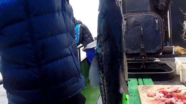 Морская рыбалка (Магадан) смотреть онлайн