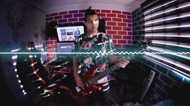 why'd you only call me when you're high - Bass cover смотреть онлайн