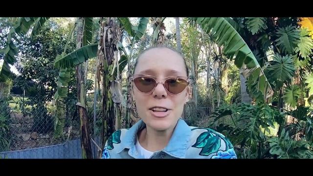 ВОКРУГ Тасмании. Тасманский дьявол. смотреть онлайн