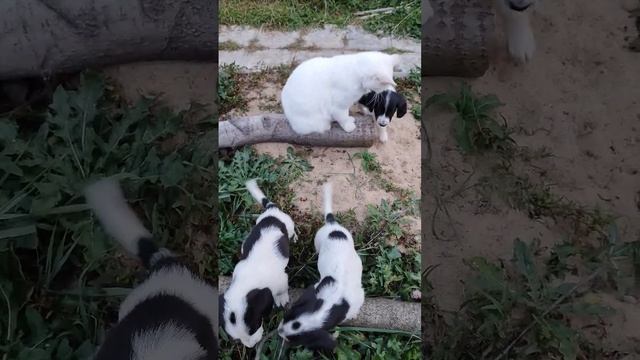 #будни смотреть онлайн