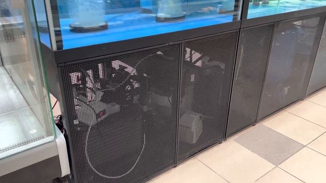 Аквариум для устриц живых морепродуктов краба живой рыбы передержка узв в ресторан магазин смотреть онлайн