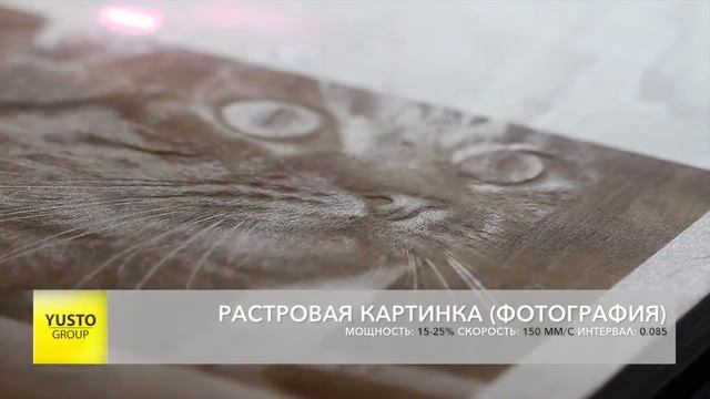 Лазерная гравировка фотографии кота на фанере смотреть онлайн