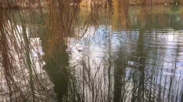 Radio control boat!! Радиоуправляемая лодка