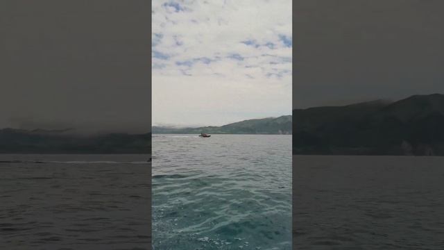 2й день на Сахалине,долгий путь к маяку Анива. 30дней на Сахалине и Камчатке с Порядиной Александро смотреть онлайн