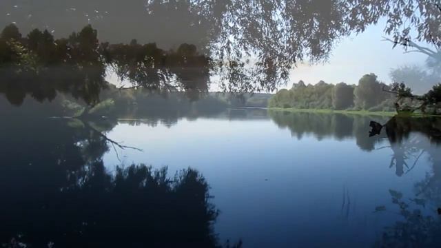Этюды в лесу и на р. Десна (возле с. Собич и с. Пироговка, Сумской обл.) смотреть онлайн