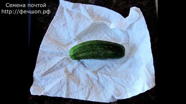 Как сохранить огурцы свежими подольше смотреть онлайн