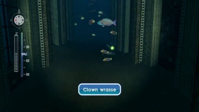 Let's Play Endless Ocean: Blue World, Episode 24: Triggerfish Warning смотреть онлайн