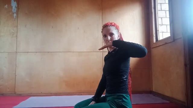 Правильное выполнение упражнения отжимания смотреть онлайн