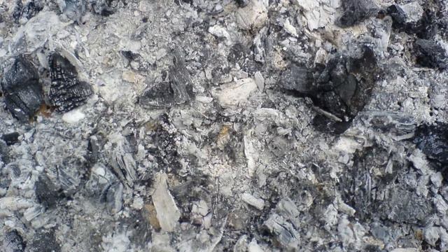 24. Удобрения из подручных средств.