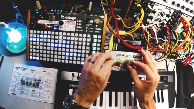 Buzzzy! meets the Deluge for a slow jam. Thanks Fred's Lab and Synthstrom смотреть онлайн
