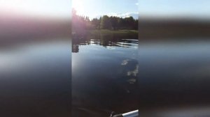 Скорость лодки ПВХ на электромоторе