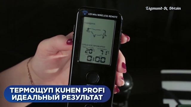 Гриль электрический Zigmund & Shtain Grillmeister ZEG-925 смотреть онлайн