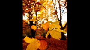 Алиса - Только этот день