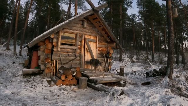 Ищу Лося, Рыбалка, Быт, поймать Куницу. смотреть онлайн