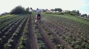 Мотоблоки 135 серии на примере "БРАЙТ"135 GCE.Что могут.Почему мы его продали.