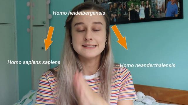 Meet The Ancestors: A Five Minute Introduction to Human Evolution with Rosie смотреть онлайн