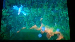 Нильс  Хольгерсон