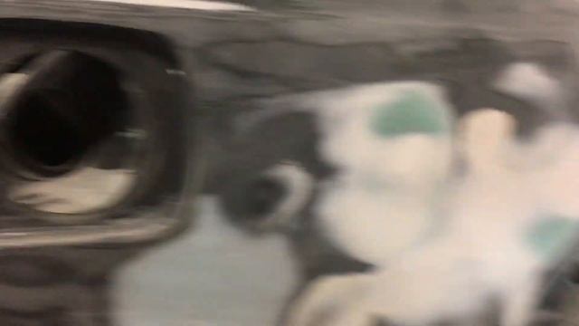 Altezza свап 1jz-gte