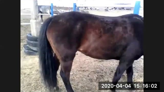 Тема № 2 Практическое занятие. Дополнение, разбор ошибок смотреть онлайн