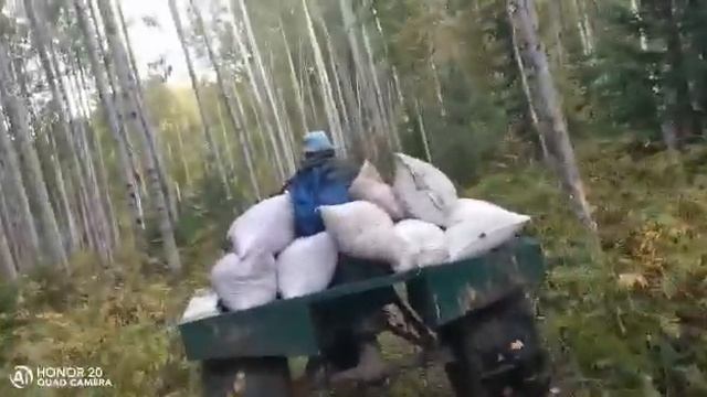 7 мешков клюквы в каракат смотреть онлайн