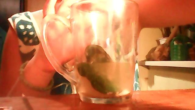 Как ухаживать за стеклянным лизуном , и за обычным.??????????????????????? смотреть онлайн