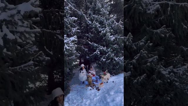 Зимняя сказка началась ❄️🤗 #зима #хоооода #щелкунчик #мущыка #видео смотреть онлайн