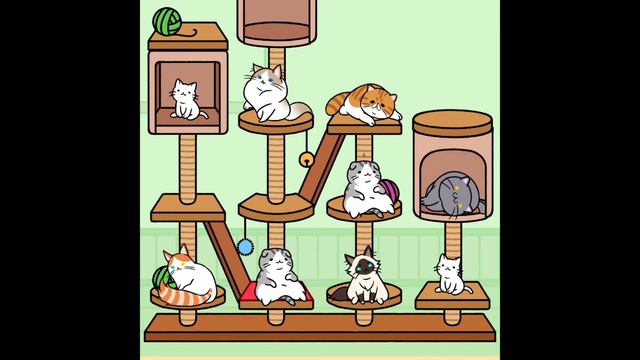 Cat Condo #2 - Tapping The Cat Box 1000 Times! смотреть онлайн