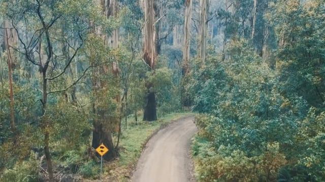 Mount Dandenong. Melbourne Australia смотреть онлайн