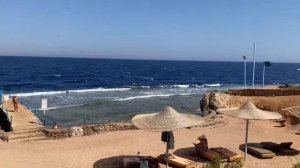 AMPHORAS BLU HOTEL 4* Шарм Эль Шейх !!! Обзор 2021