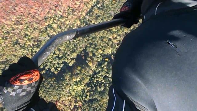 Кут. Лесок в полутора км от старта. смотреть онлайн