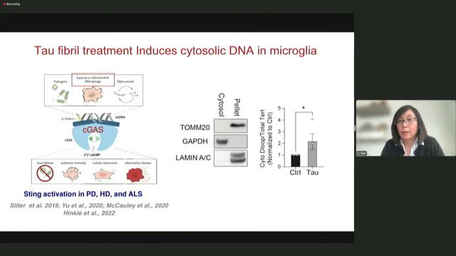 Glial and Neuronal Biology of the Aging Brain - Li Gan смотреть онлайн