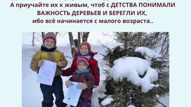 ?ПОЧЕМУ НЕЛЬЗЯ РУБИТЬ ЁЛКИ НА НОВЫЙ ГОД? смотреть онлайн