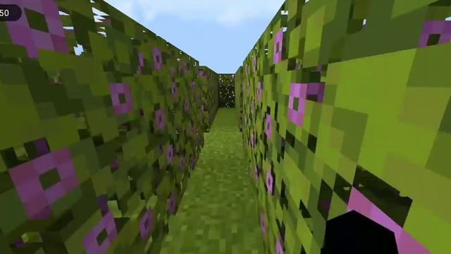 i did world record Minecraft maze смотреть онлайн