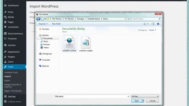 How to Import Demo Content in WordPress смотреть онлайн